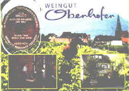 Mit ältestem Weinberg: Weingut
        Oberhofer