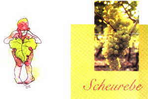 Scheurebe